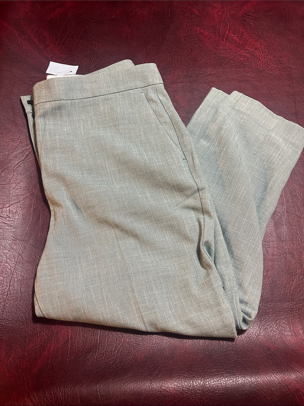 Ann Taylor Dress Pants NWT